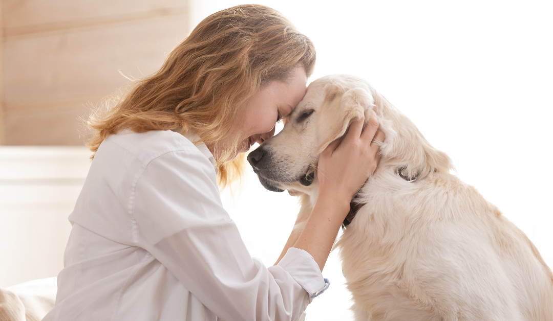 The Ultimate Guide to Best Smart Pet Gadgets for Every Dog