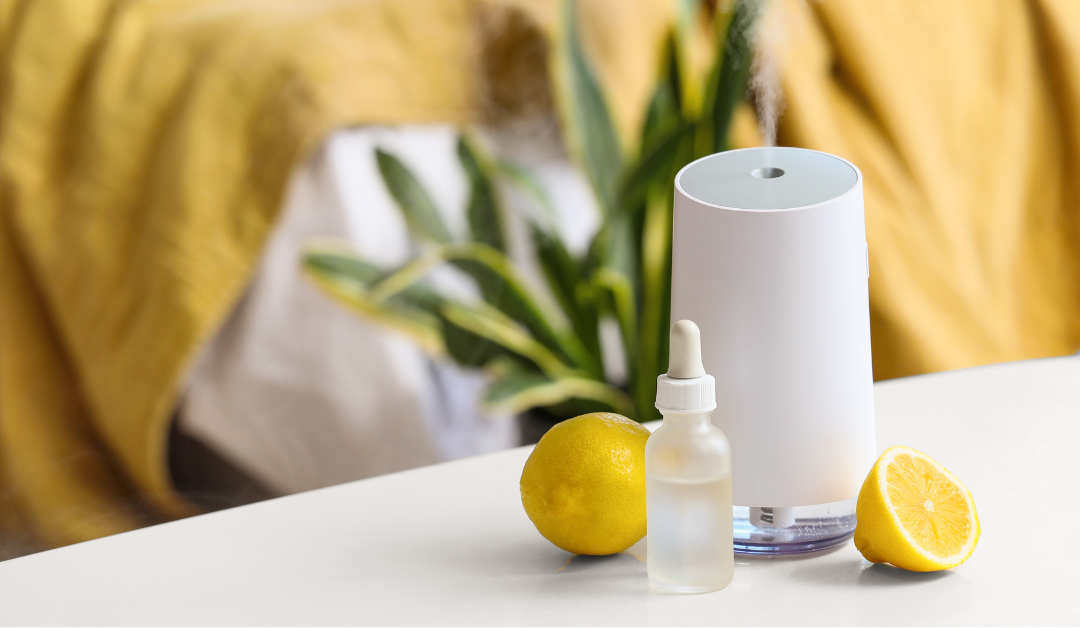 Top Smart Air Purifiers with App Control and Air Quality Sensors