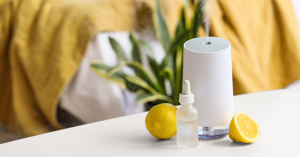 Top Smart Air Purifiers with App Control and Air Quality Sensors