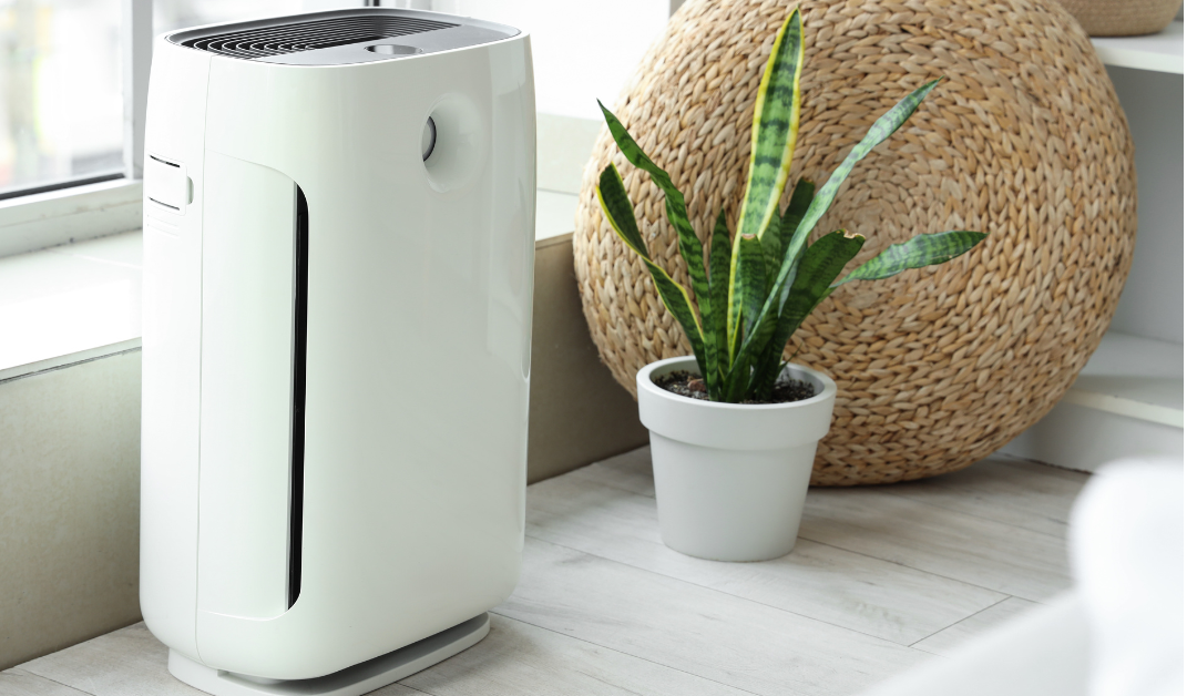 Are Smart Air Purifiers Worth It? Real-World Tests
