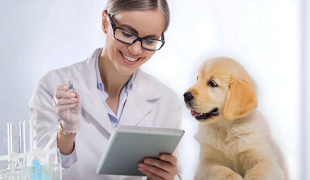 Best AI-Powered Smart Collars of 2026: Predictive Health Monitoring for Your Dog