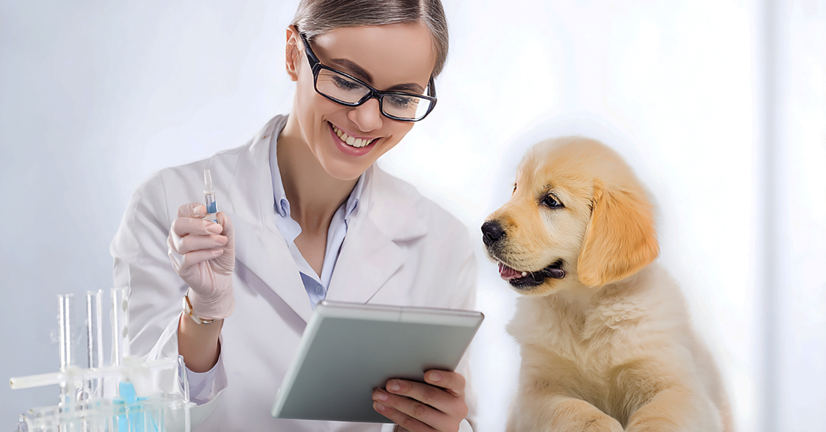 Best AI-Powered Smart Collars of 2026: Predictive Health Monitoring for Your Dog