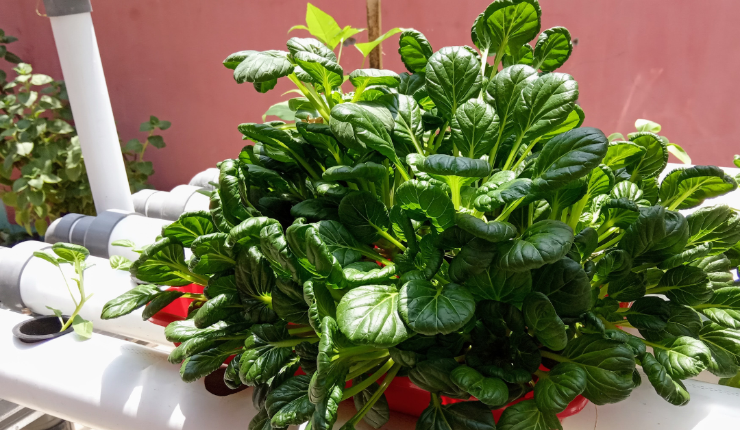 The Ultimate Guide to Vertical Gardening: Best Space-Saving Planters for Urban Areas