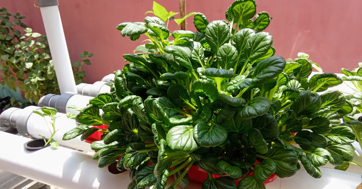 The Ultimate Guide to Vertical Gardening: Best Space-Saving Planters for Urban Areas