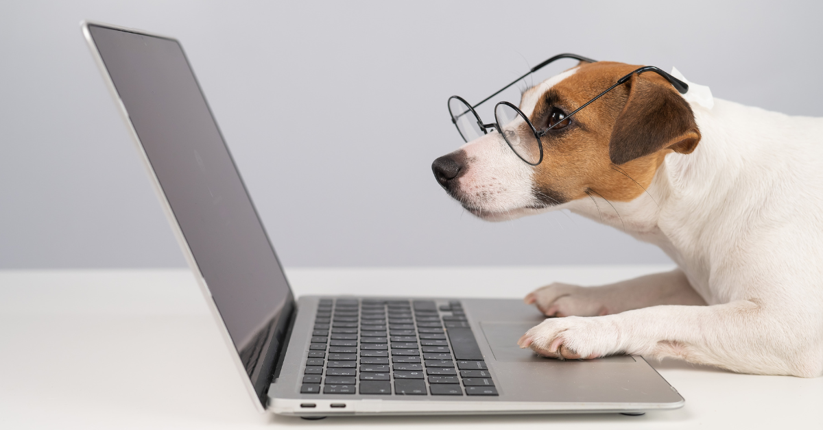 Review: Why the New Multi-Pet AI Feeders are a Game Changer for Busy Homes