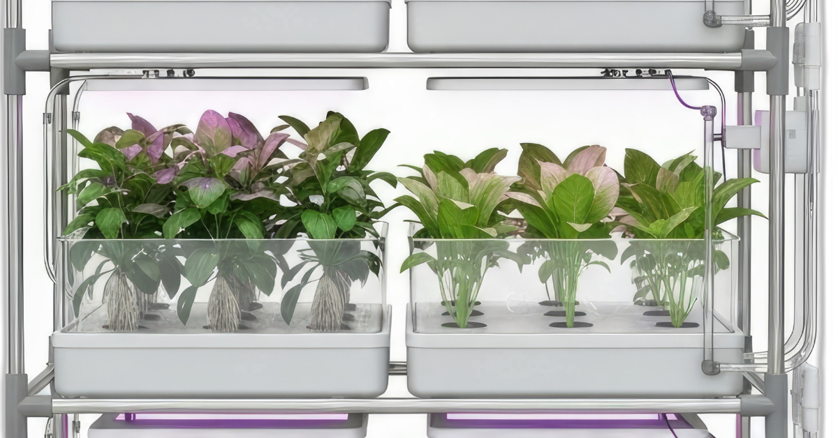 How to Build a God-Tier Survival Pantry: Growing Your Own Food for Emergencies