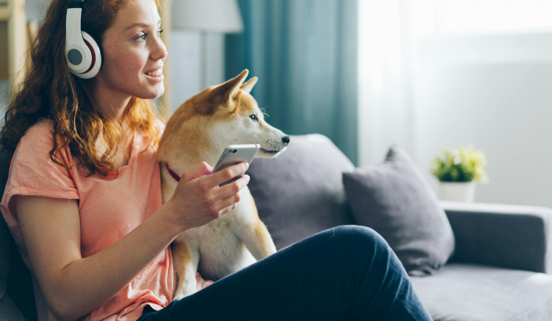 Top 5 Freeze-Dried Raw Dog Foods on Amazon: Is the Investment Worth It?