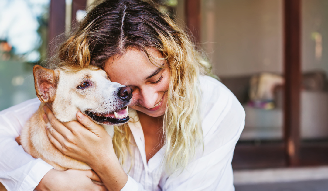 Top-Rated Robotic Dog Washing Machines: Are They the Future of Home Grooming?
