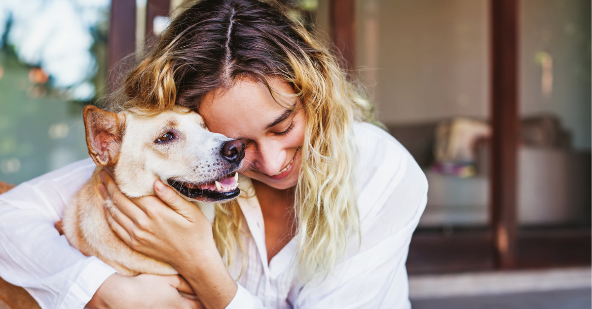 Top-Rated Robotic Dog Washing Machines: Are They the Future of Home Grooming?