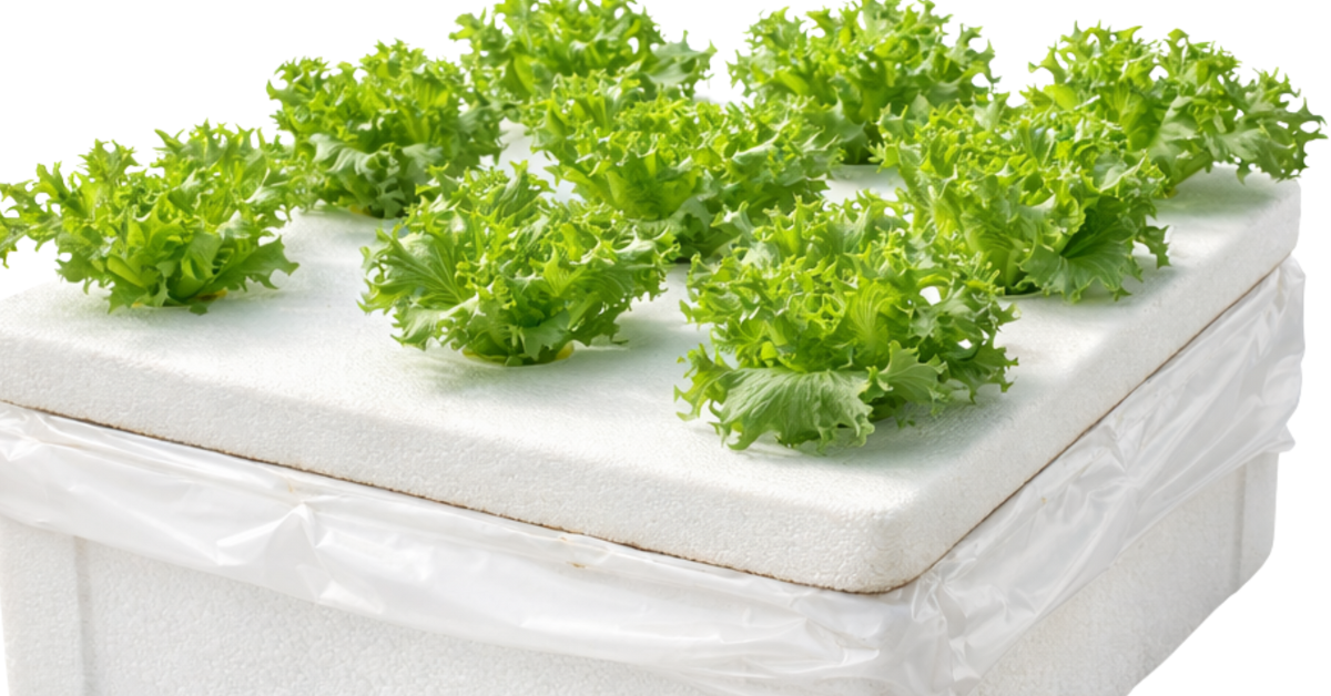 Best Smart Garden Sensors: Tracking Soil Moisture and Sunlight via Your Smartphone