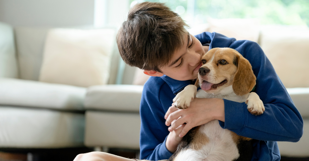 Top 5 Pet Health Monitors That Sync Directly with Your Vet’s Dashboard