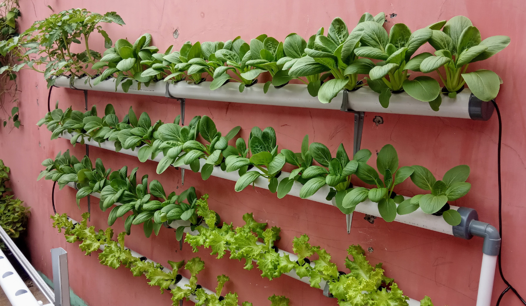 The Best Garden Tillers of 2026: Lab-Style Durability and Performance Scores