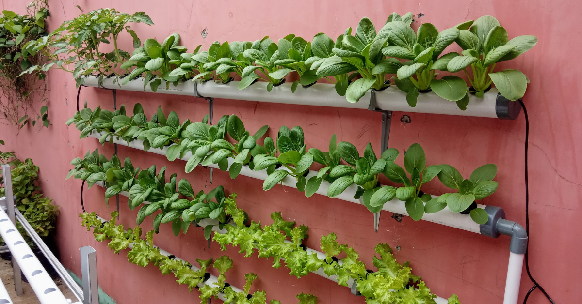 The Best Garden Tillers of 2026: Lab-Style Durability and Performance Scores