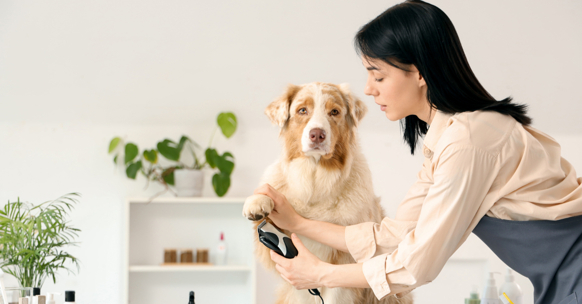 The Ultimate Guide to Microbiome Testing Kits: Tailoring Your Pet’s Diet in 2026