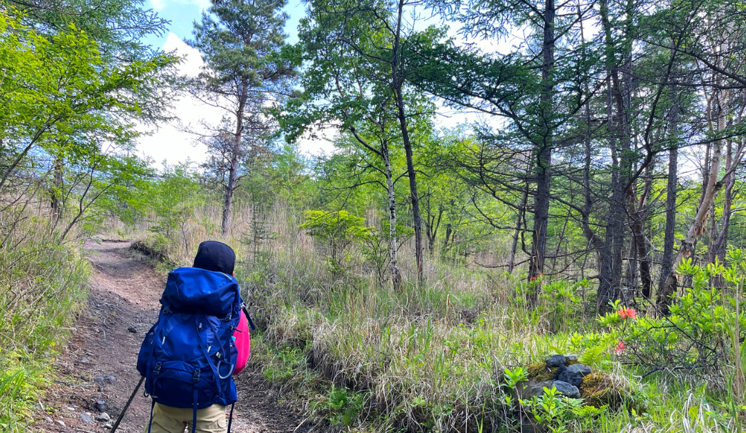 Top-Rated Thermal Blankets: Testing Heat Retention for Cold-Weather Survival