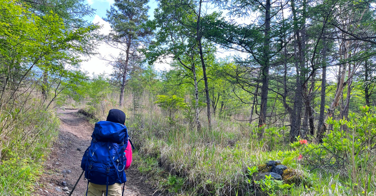 Top-Rated Thermal Blankets: Testing Heat Retention for Cold-Weather Survival