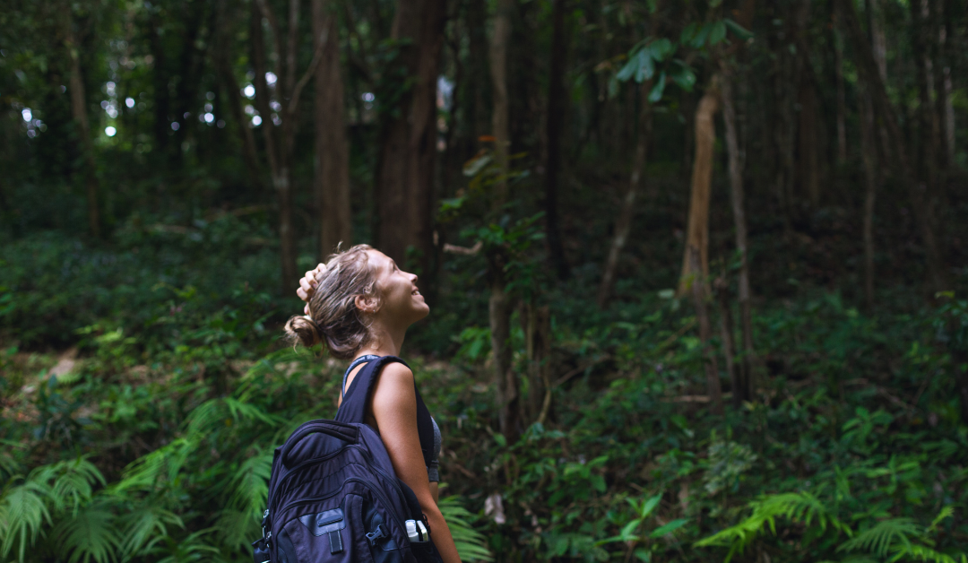 Best Survival Tarp: Heavy-Duty Shelter Picks for Extreme Environments